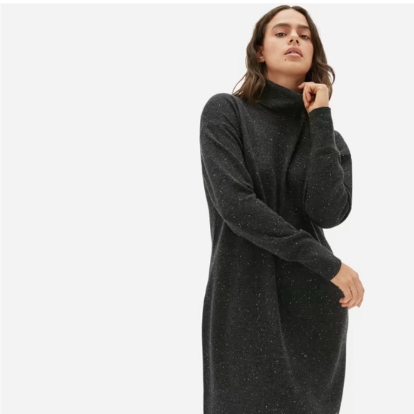 Everlane Women's Charcoal Turtleneck Sweater Dress, Size Medium, Charcoal Grey - Picture 1 of 12